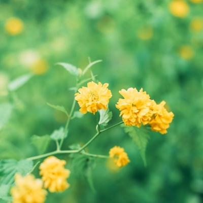 上古修仙无限灵石版下载